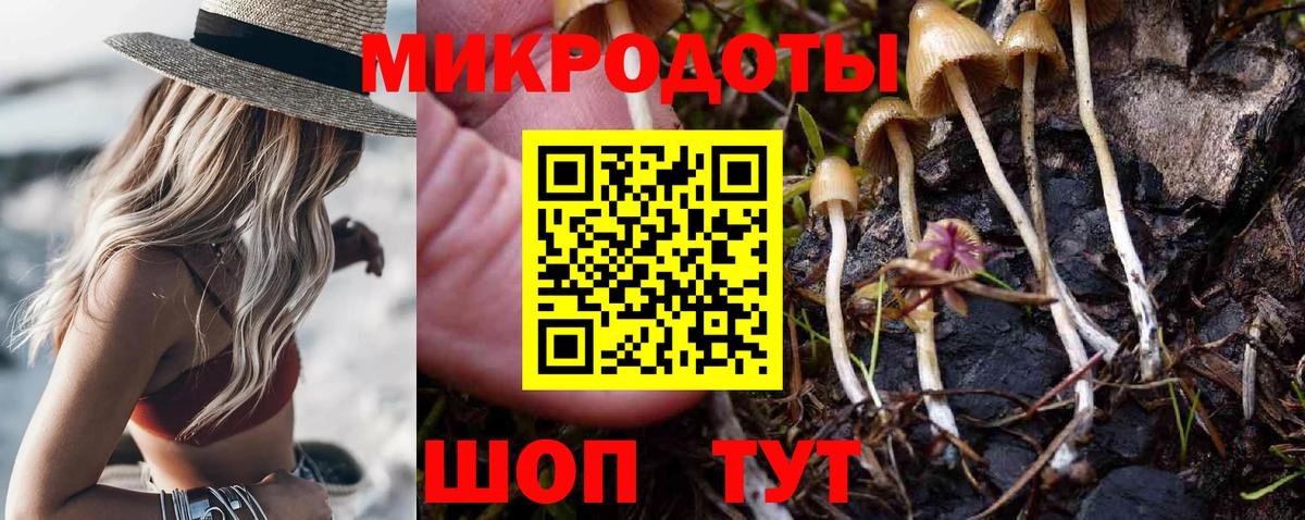 Псилоцибиновые грибы Psilocybe Южно-Сахалинск